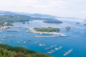 2BA0F548-9B84-49AA-BD24-C0FDFA60E346