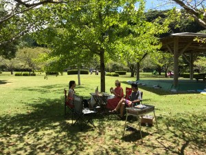 C2271BFD-0566-491D-8C71-11561118B4D8