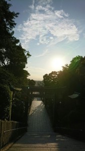 E508F0CC-49C7-4C5B-88CC-DC33F4643EA2